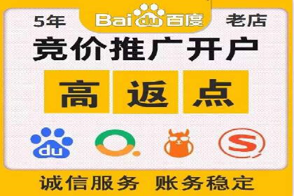 竞价排名的投放策略与效果评估案例